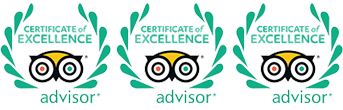tripadvisor certificate of excellence